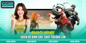 Đá gà c1