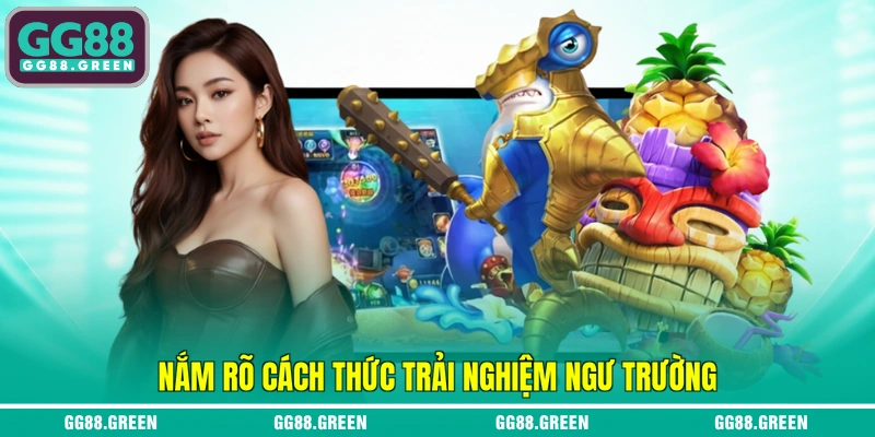 Nắm rõ cách thức trải nghiệm ngư trường