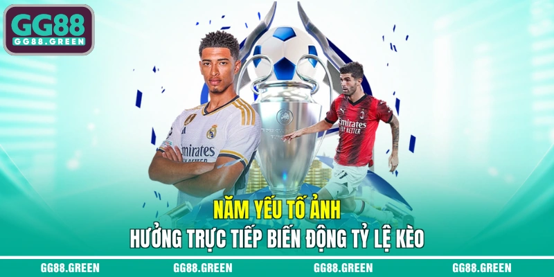 Năm yếu tố ảnh hưởng trực tiếp biến động tỷ lệ kèo