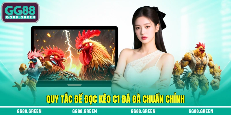 Quy tắc để đọc kèo c1 đá gà chuẩn chỉnh