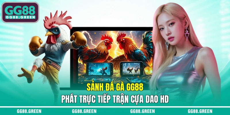 Sảnh đá gà GG88 phát trực tiếp trận cựa dao HD
