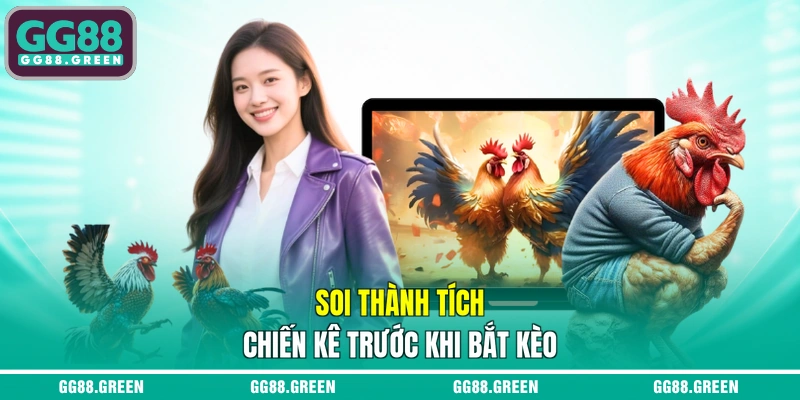 Soi thành tích chiến kê trước khi bắt kèo