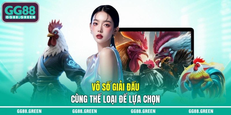 Vô số giải đấu cùng thể loại để lựa chọn